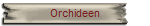 Orchideen