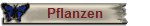 Pflanzen