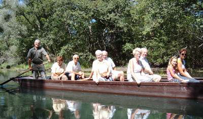 Bootsfahrt im Naturschutzgebiet Taubergie�en